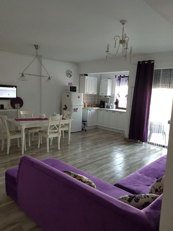 Apartament Andy Mamaia Nord 30 M De Plaja Năvodari Extérieur photo
